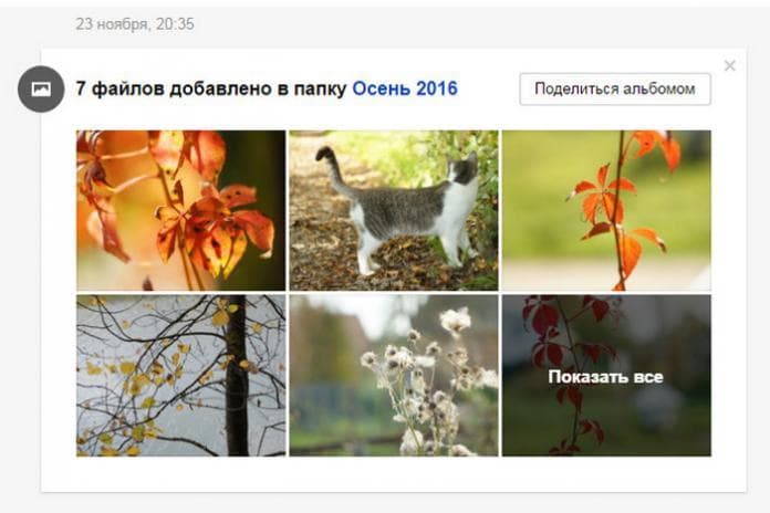 В веб-версии Яндекс.Диска появилась лента событий