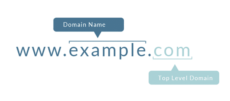 Как выбрать доменное имя сайта (основы и секреты выбора домена)